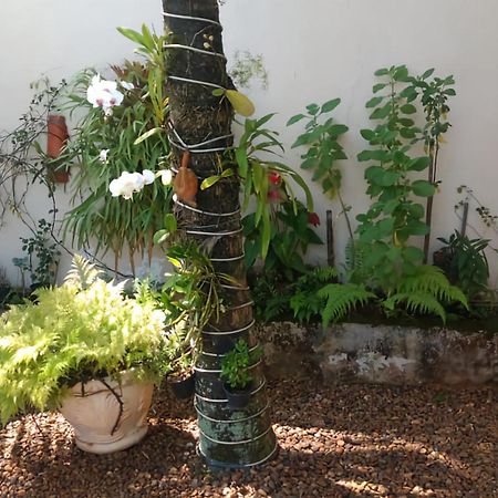 San Remo Apartamento Praia Do Tombo グァルジャー エクステリア 写真